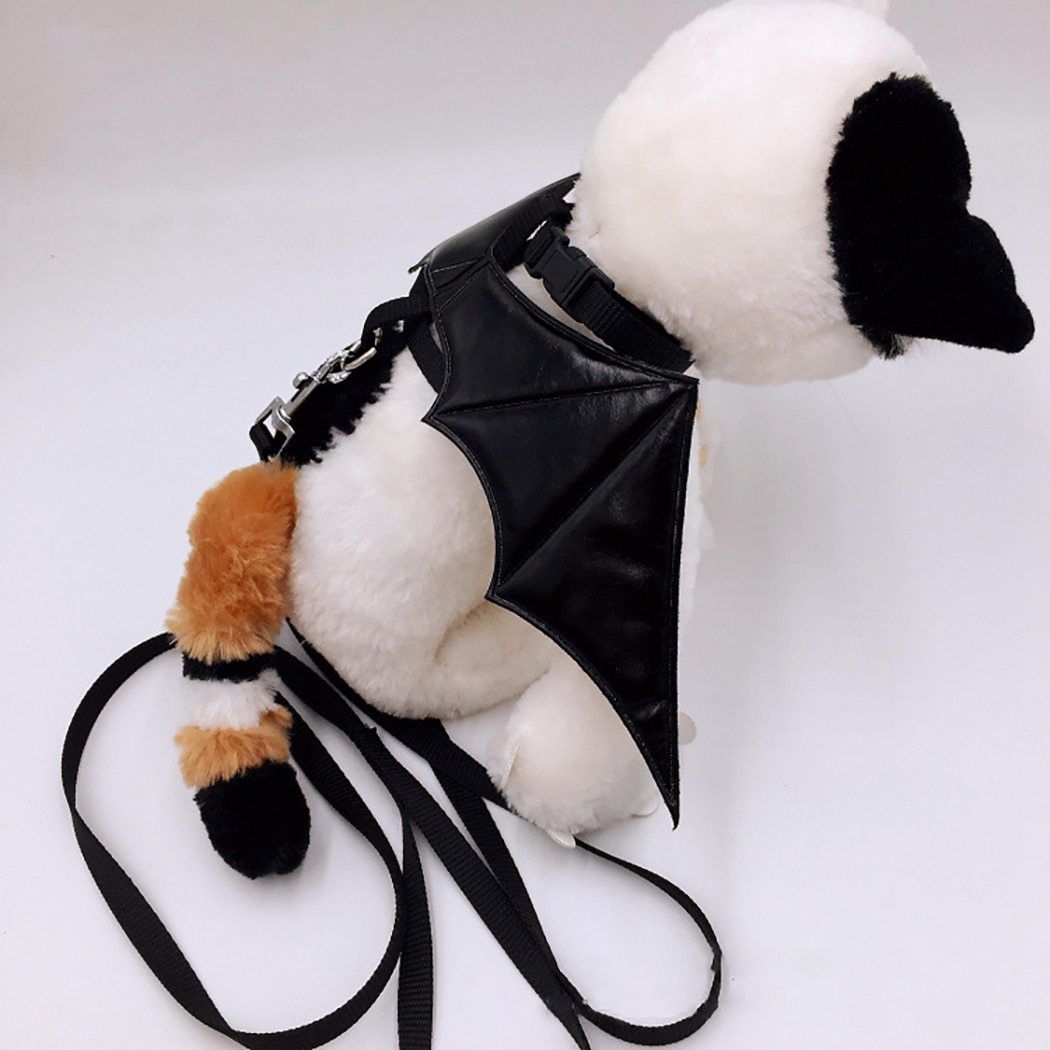 Dog Bat Wing  Harness and Leash Set