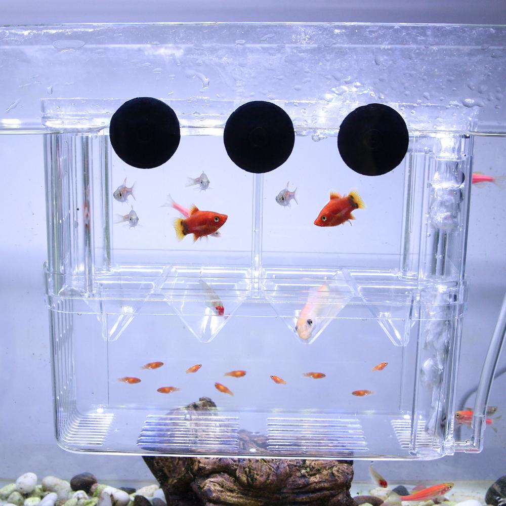 Fish Breeding Floating Box