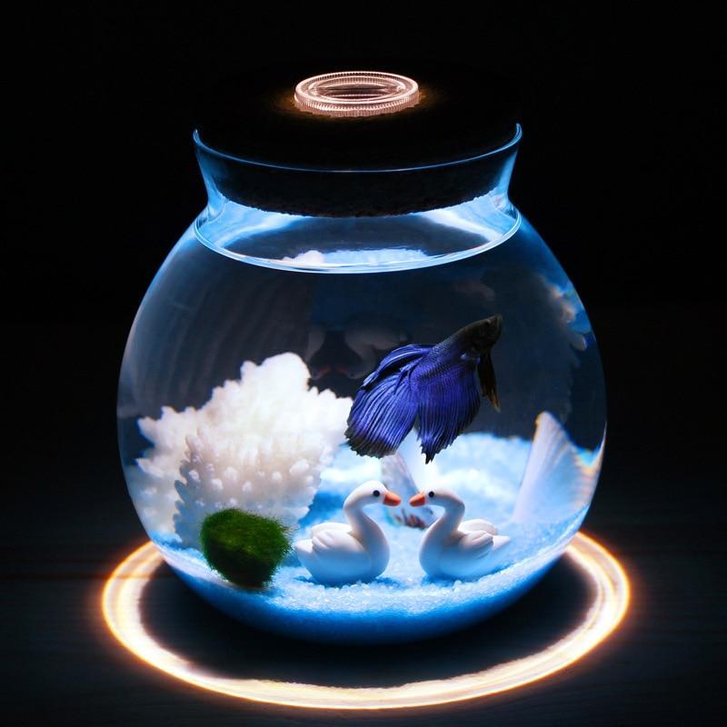 Mini Betta Fish Tank with Small Lights