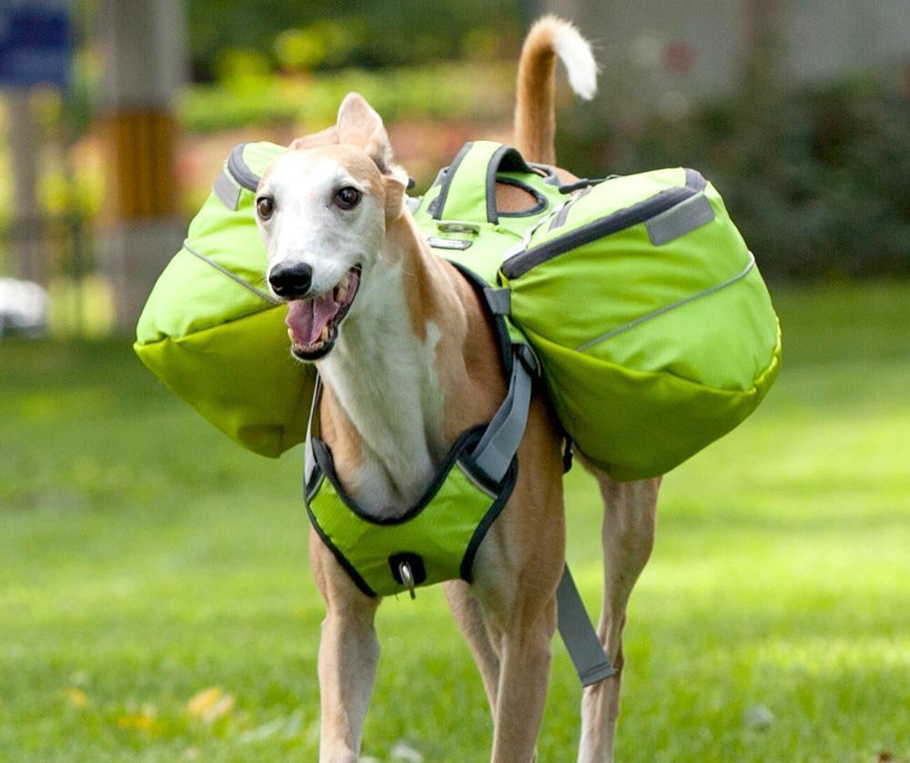 Pet Saddle Backpack Harness