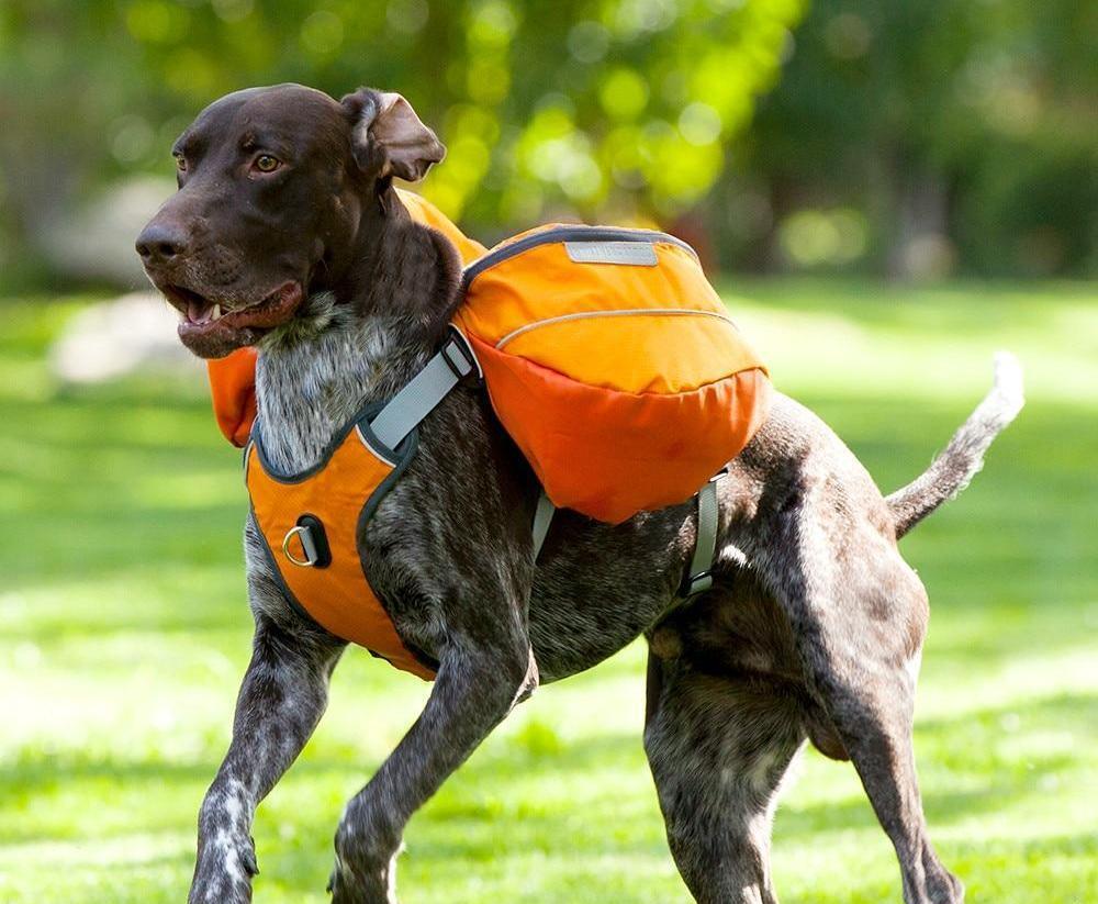 Pet Saddle Backpack Harness